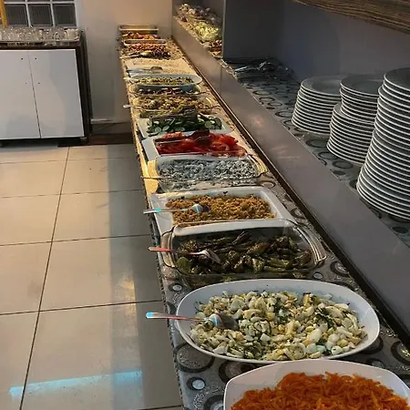 酒店 蒂尼镇酒店 安塔利亚