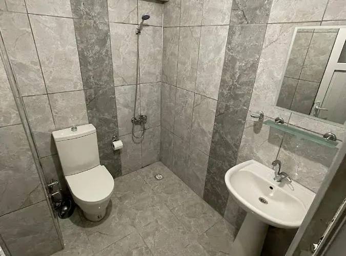 Denizhan מלון 2*